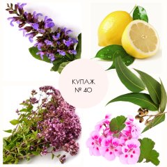 Купаж №40 CO2 экстракт противовоспалительный (водорастворимый)